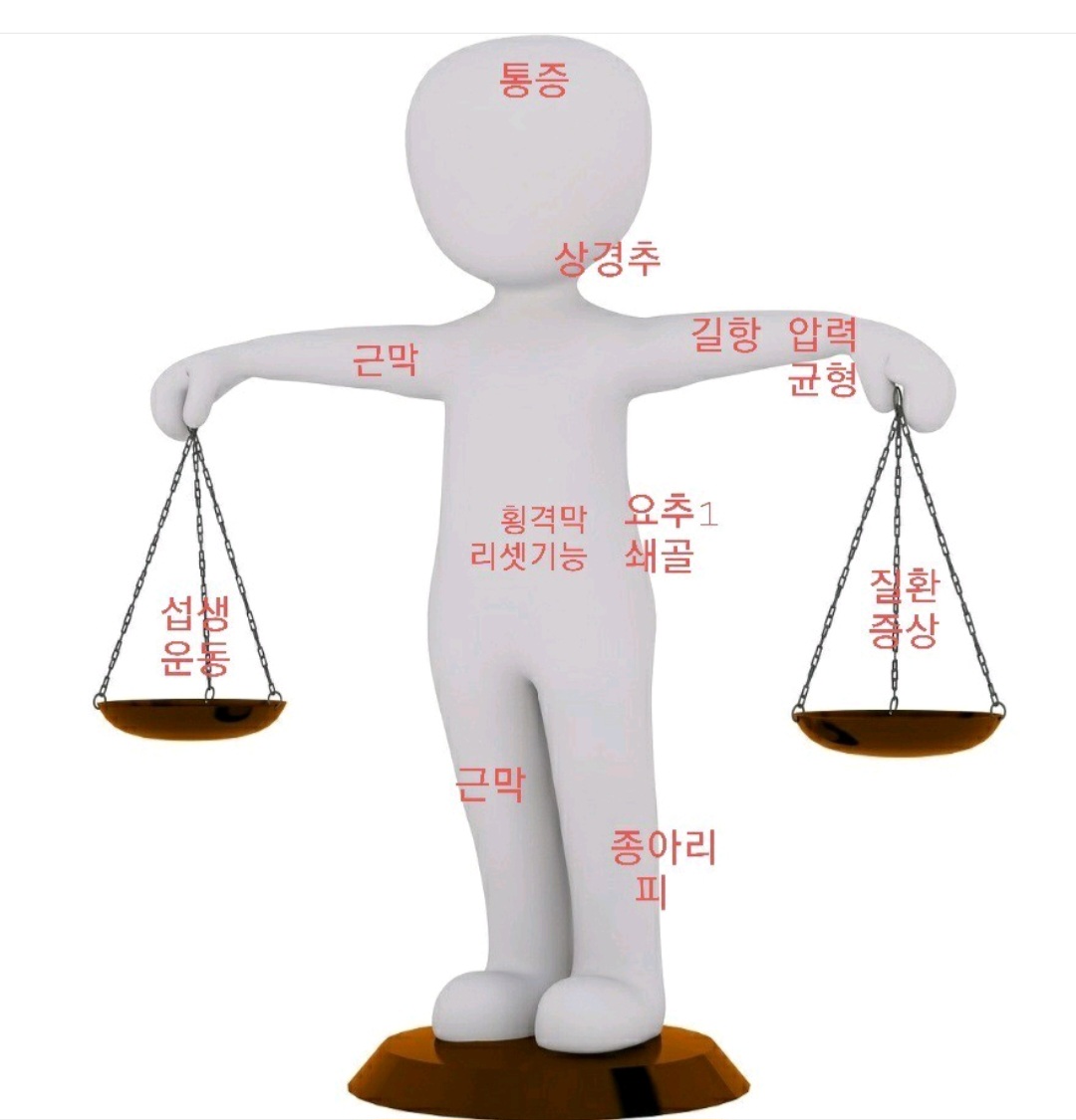 경북도청 나경에스테틱 & 스파