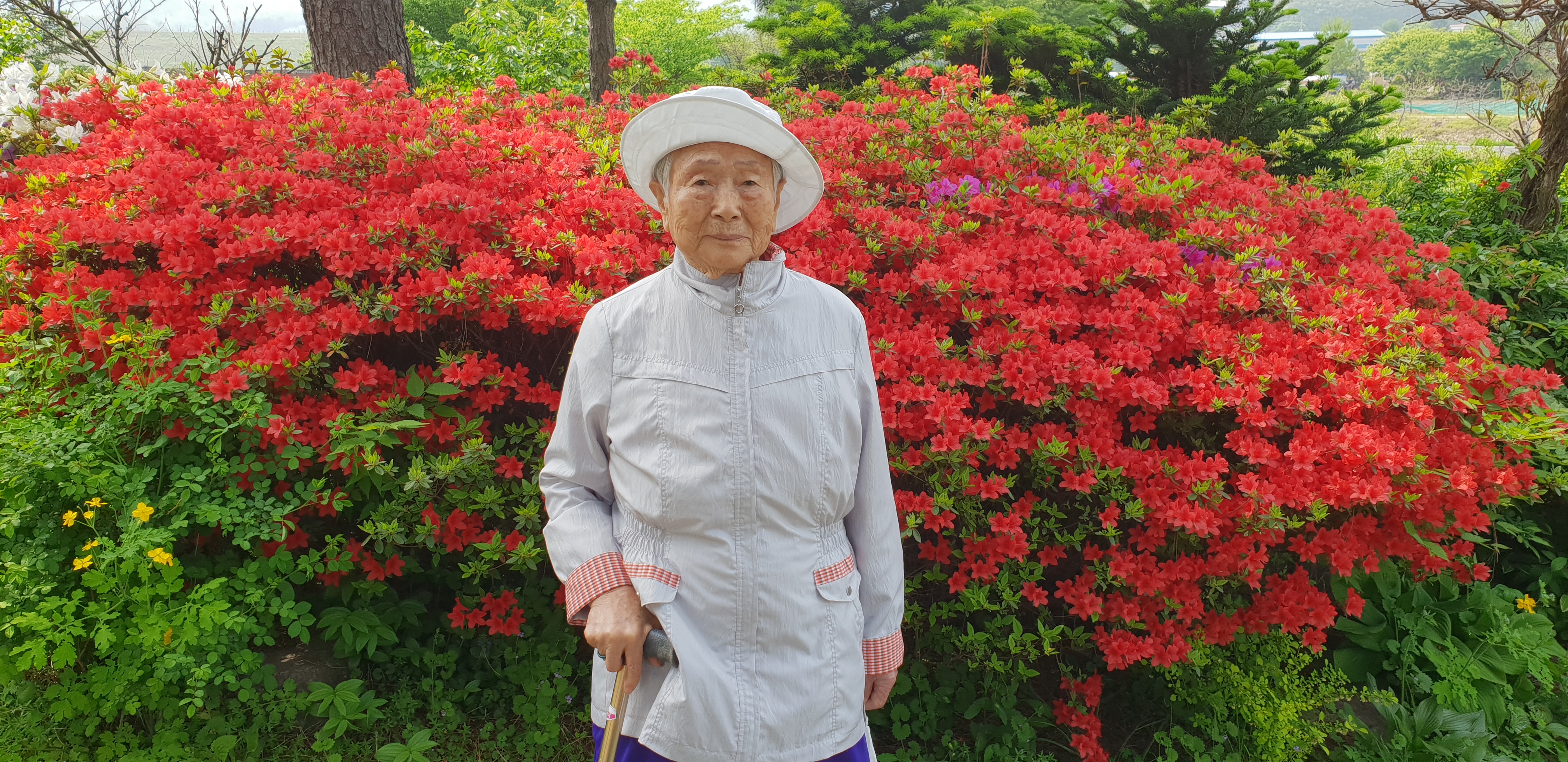 보고싶은 우리 어머니