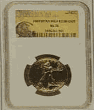 2009 ULTRA HIGH RELIEF GS20