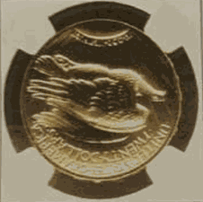 2009 ULTRA HIGH RELIEF GS20